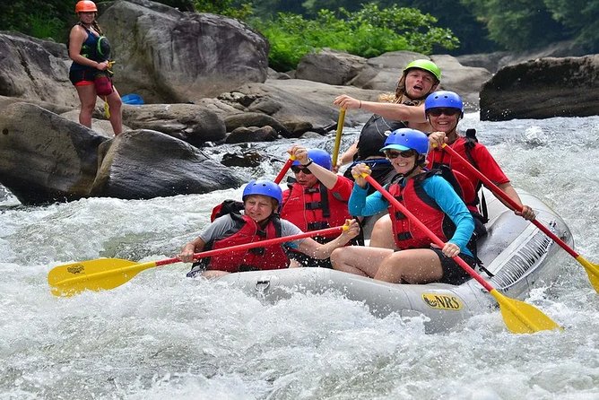 cafe blog adventure 2